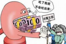 新昌为什么选择专业追讨公司来处理您的债务纠纷？